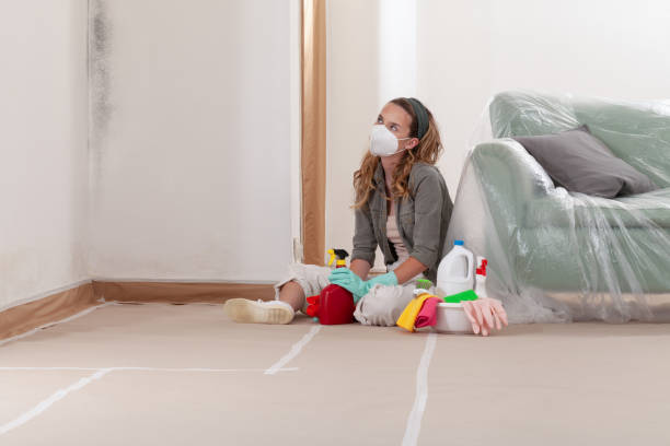 Reliable Mold Remediation contractor in New Milford, NJ by Cheap Mold Removal